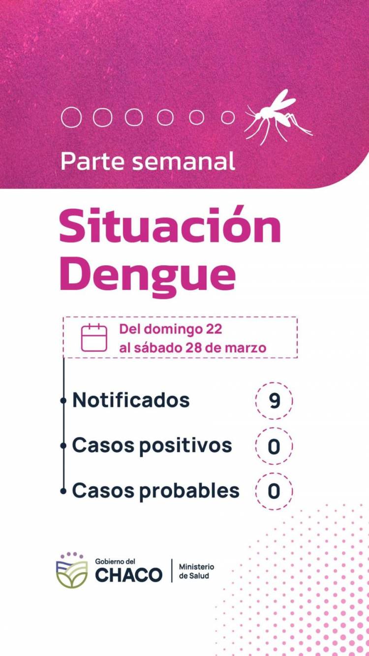CHACO SIN CASOS DE DENGUE: SALUD INSISTE EN REFORZAR LA PREVENCIÓN