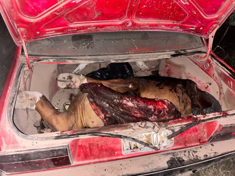 DETUVIERON A UN HOMBRE POR SUPUESTO ABIGEATO