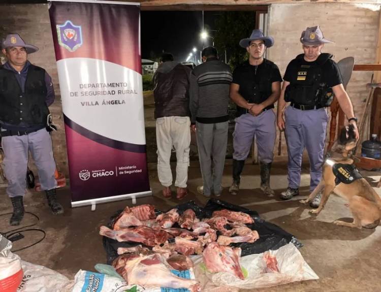 UN JOVEN FAENÓ UN TERNERO Y LO DETUVIERON CON 70 KILOS DE CARNE EN VILLA BERTHET