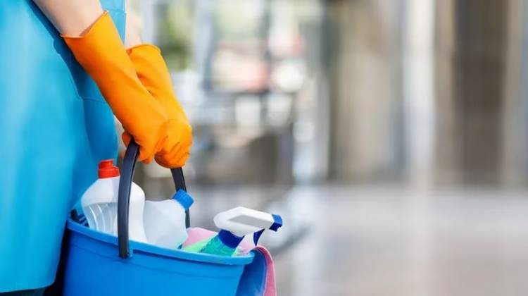 PERSONAL DOMÉSTICO: CONVOCAN A SESIÓN PLENARIA PARA ACTUALIZAR LOS SALARIOS MÍNIMOS