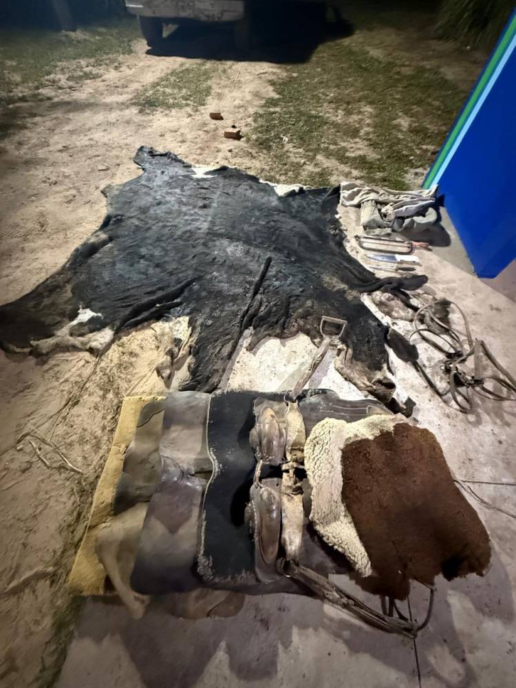 SECUESTRAN CARNE DE DUDOSA PROCEDENCIA Y ELEMENTOS VINCULADOS A UNA FAENA CLANDESTINA