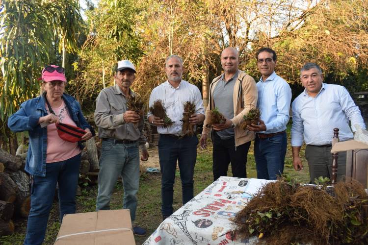 ÑANDE ACOMPAÑA A PRODUCTORES DE FRUTILLAS CON INSUMOS Y APOYO DIRECTO