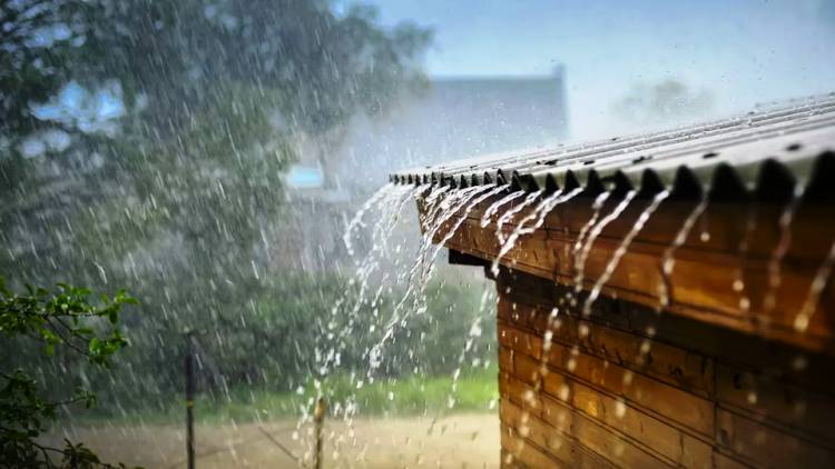 LA PROVINCIA ARGENTINA DONDE MAS LLUEVE: CÓMO ES VIVIR EN EL LUGAR MAS HÚMEDO DEL PAÍS