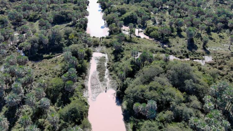 LA APA INTENSIFICA LOS CONTROLES Y DENUNCIA OBSTRUCCIONES EN EL CANAL RÍO MUERTO-LAS COLONIAS
