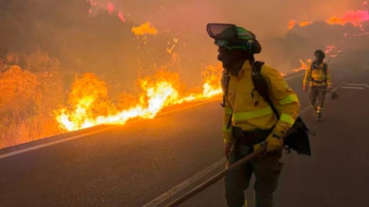 VIENTO ZONDA EN JUJUY: RÁFAGAS INÉDITAS EN 30 AÑOS CAUSARON DESTROZOS E INCENDIOS