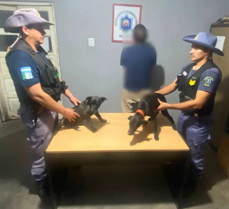 LAS MULTAS POR MALTRATO ANIMAL PODRÁN LLEGAR A $18,8 MILLONES EN EL CHACO
