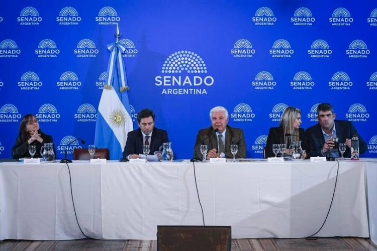EL SENADO INICIA EL DEBATE DEL SÚPER RIGI PARA ATRAER INVERSIONES EN TECNOLOGÍA Y MINERALES CRÍTICOS